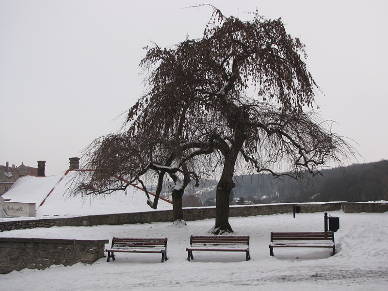 Kutná Hora - před Hrádečkem