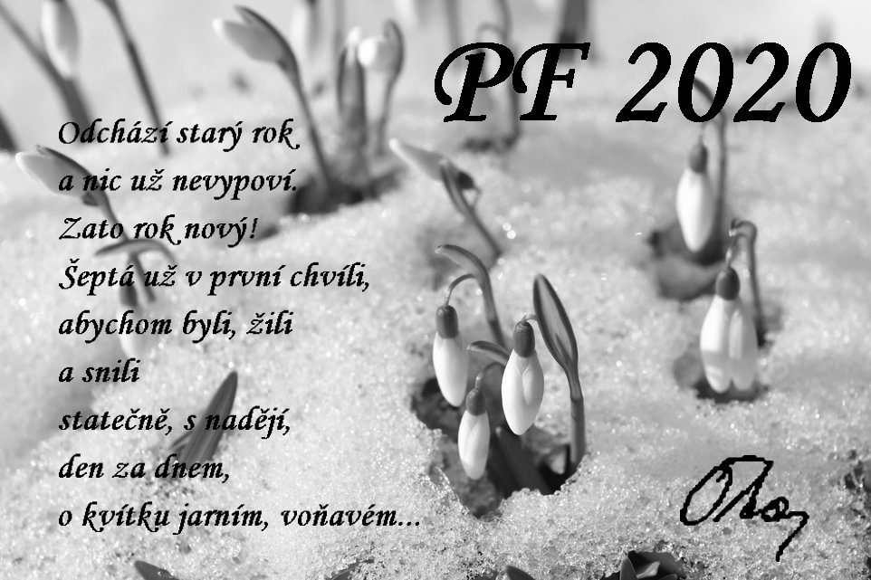 PF2020
