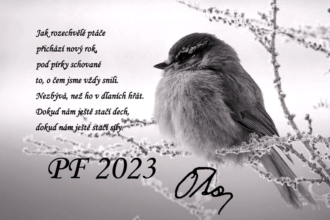 PF2023